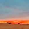 Profile photo of Travelinyourmind