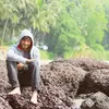 Profile photo of Dhaval Harsora