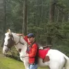 Profile photo of Ankit Bhardwaj