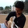 Profile photo of Rahul Raghunath