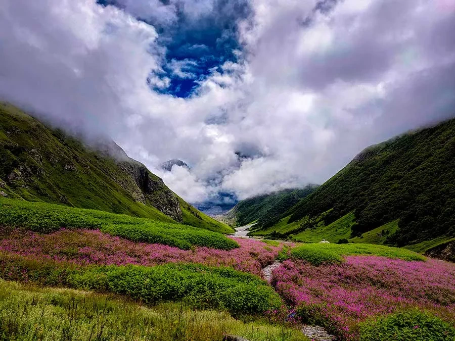 Photo of I Chased Flowers in the Rain: A Solo Trek to the Valley of Flowers by Rahul Singh