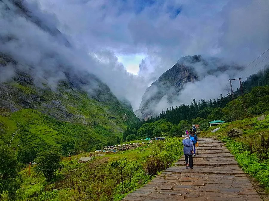 Photo of I Chased Flowers in the Rain: A Solo Trek to the Valley of Flowers by Rahul Singh