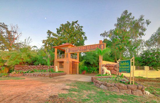 Photo of 4 Night 5 Day itinerary - Pench & Tadoba National park. by TheCrazyIndianNomad