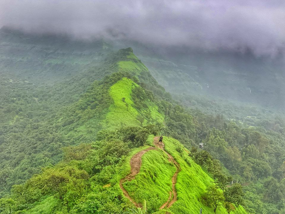 Photo of Monsoon is the best time to Hike these Forts in Lonavala, Maharashtra. by TheCrazyIndianNomad