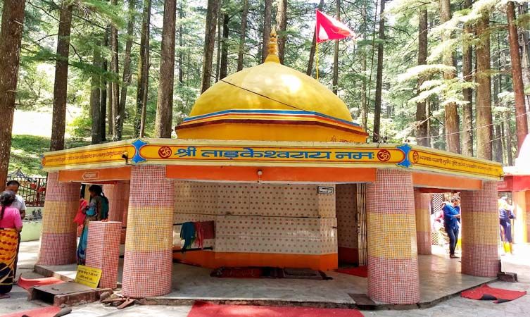 Photo of TOP Things to do in Landsdowne, Uttarakhand. by TheCrazyIndianNomad