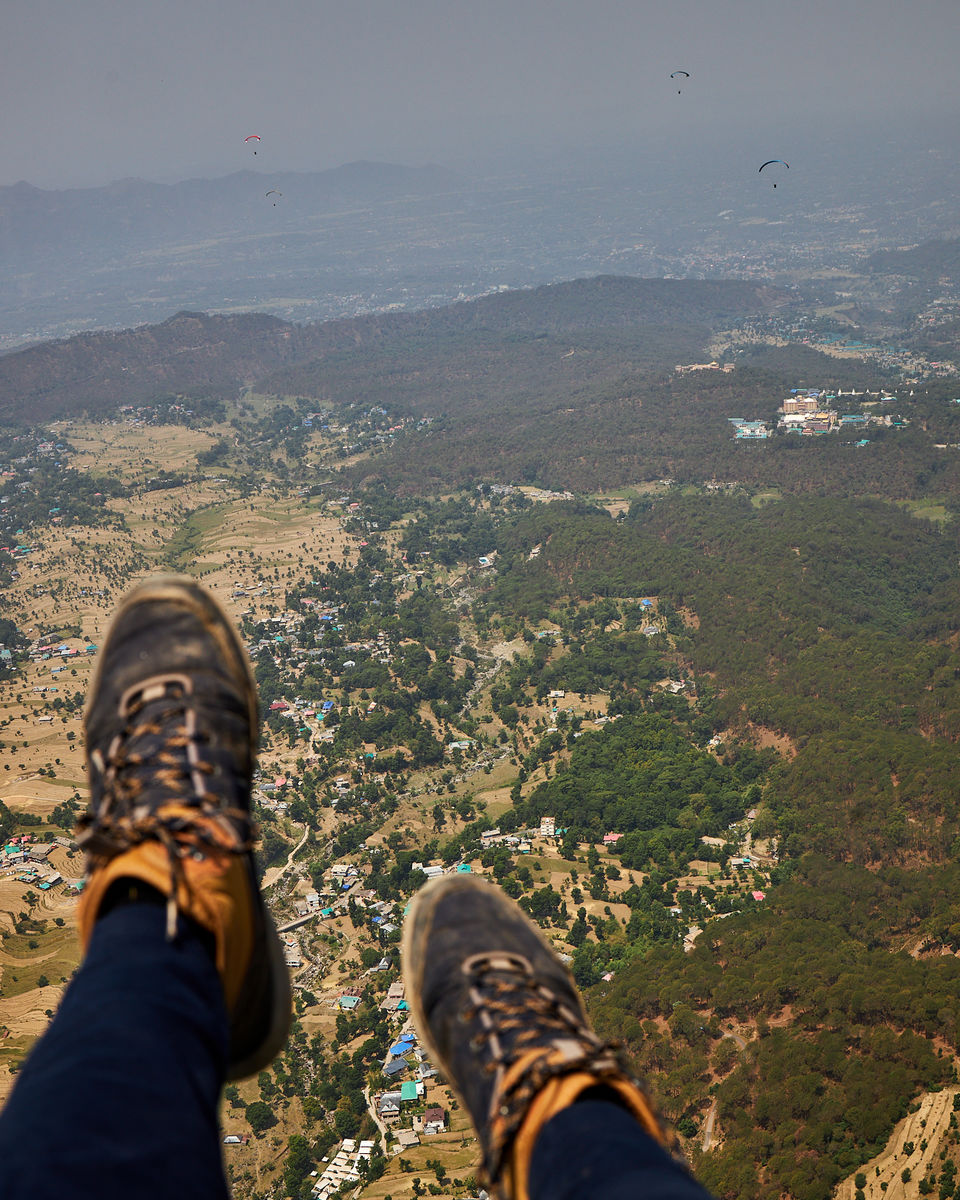Photo of All you need is a day to FLY - Bir Paragliding Experience by Siddharth Arora Siddology