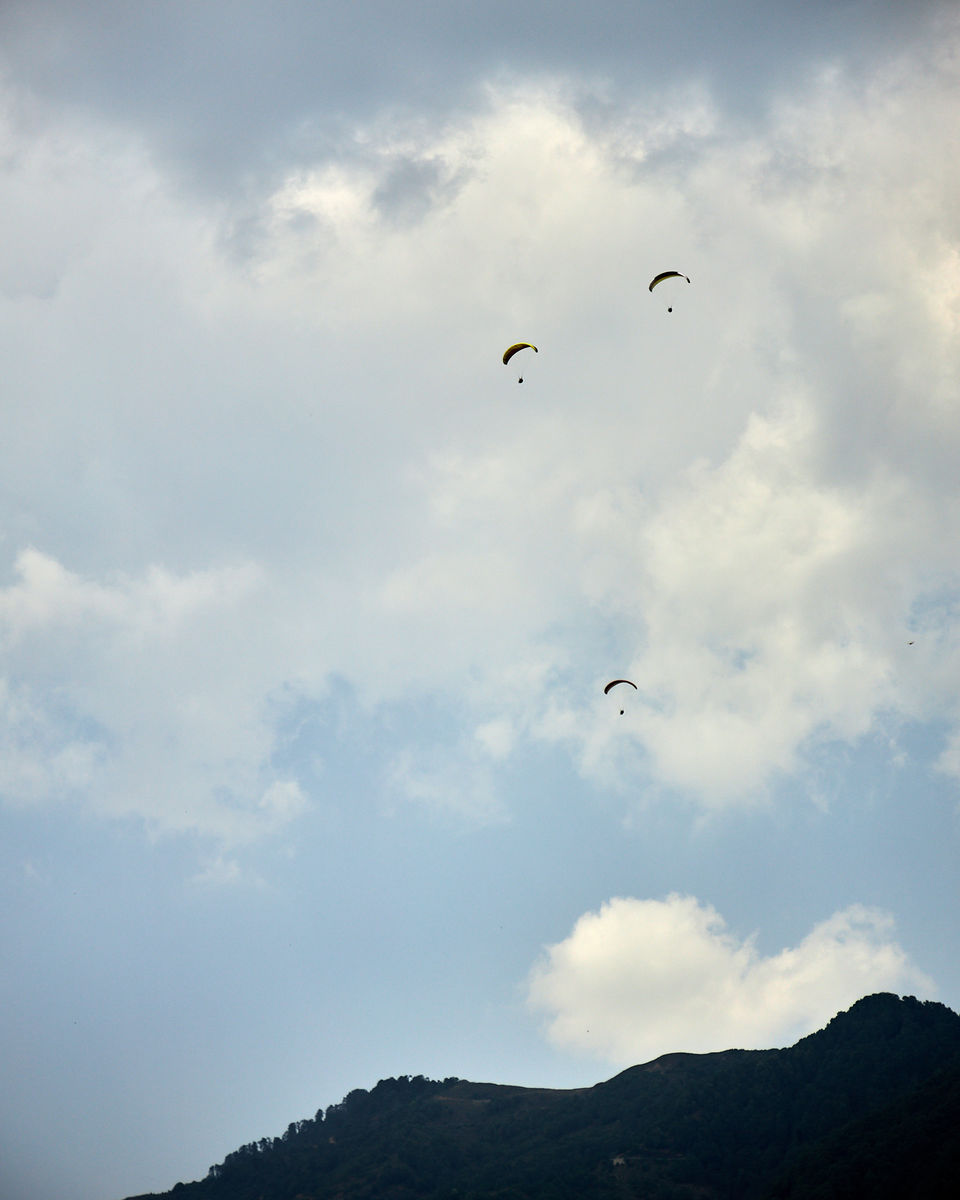 Photo of All you need is a day to FLY - Bir Paragliding Experience by Siddharth Arora Siddology