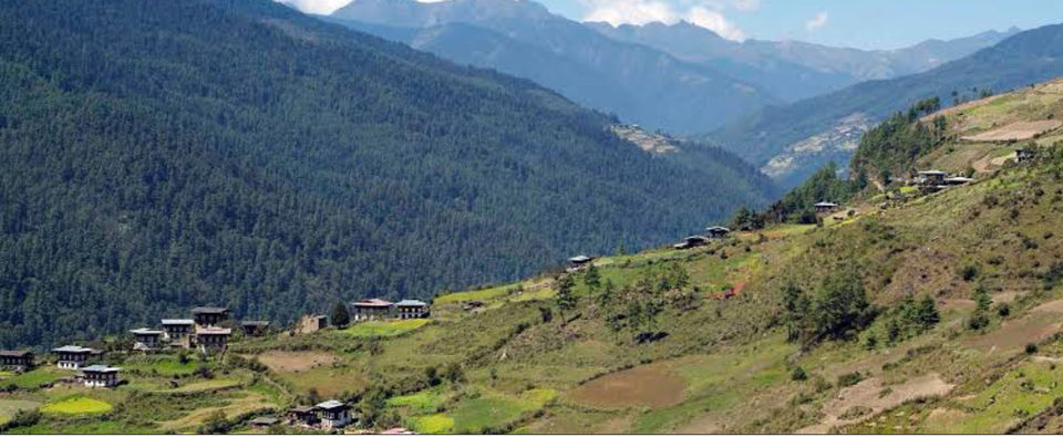 Photo of Why visit Haa valley? by Radhika Narasimhan