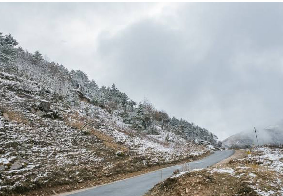 Photo of Why visit Haa valley? by Radhika Narasimhan