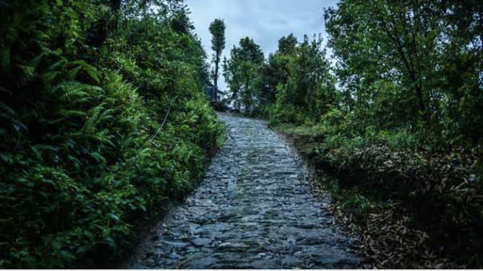 Photo of Why peep into offbeat Lava of West bengal by Radhika Narasimhan