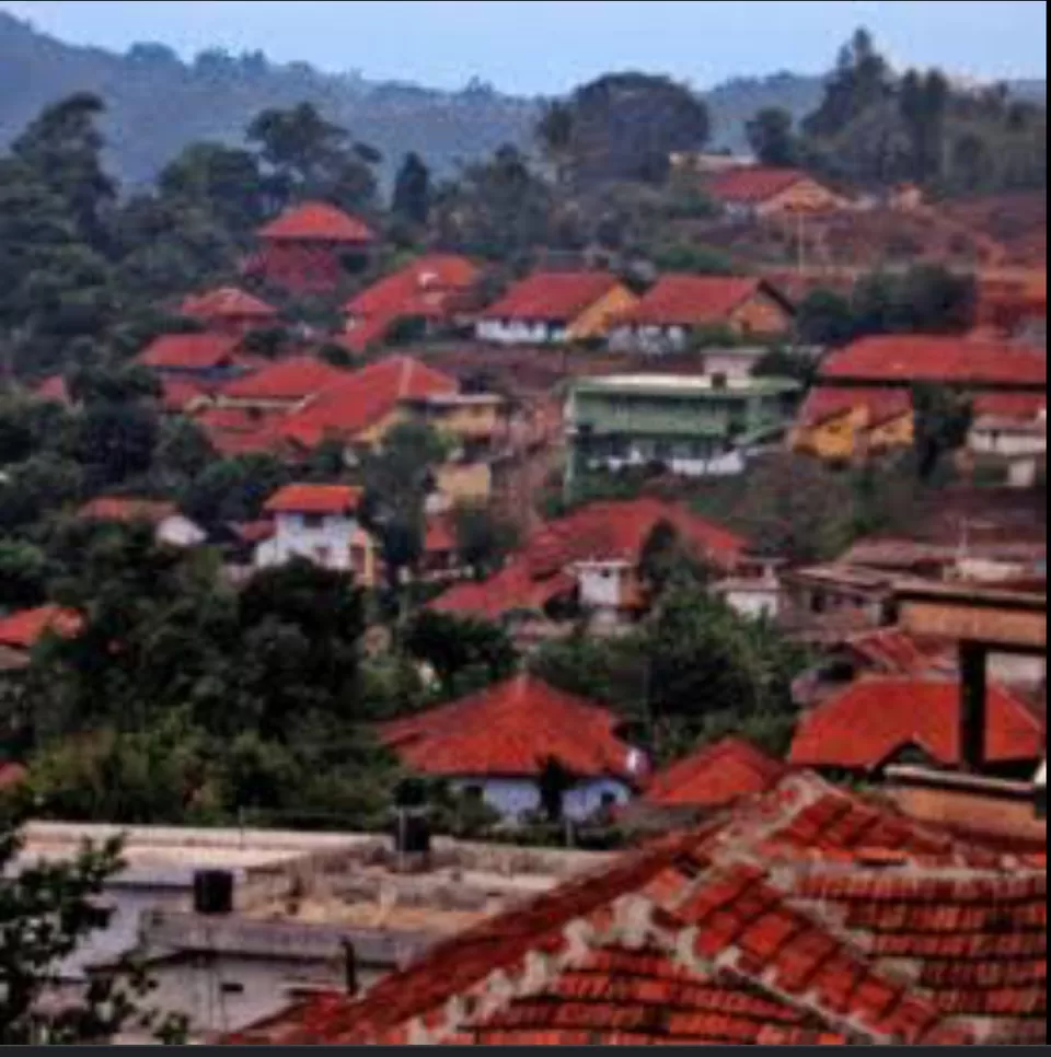 Photo of Kutta, Kodagu by Radhika Narasimhan