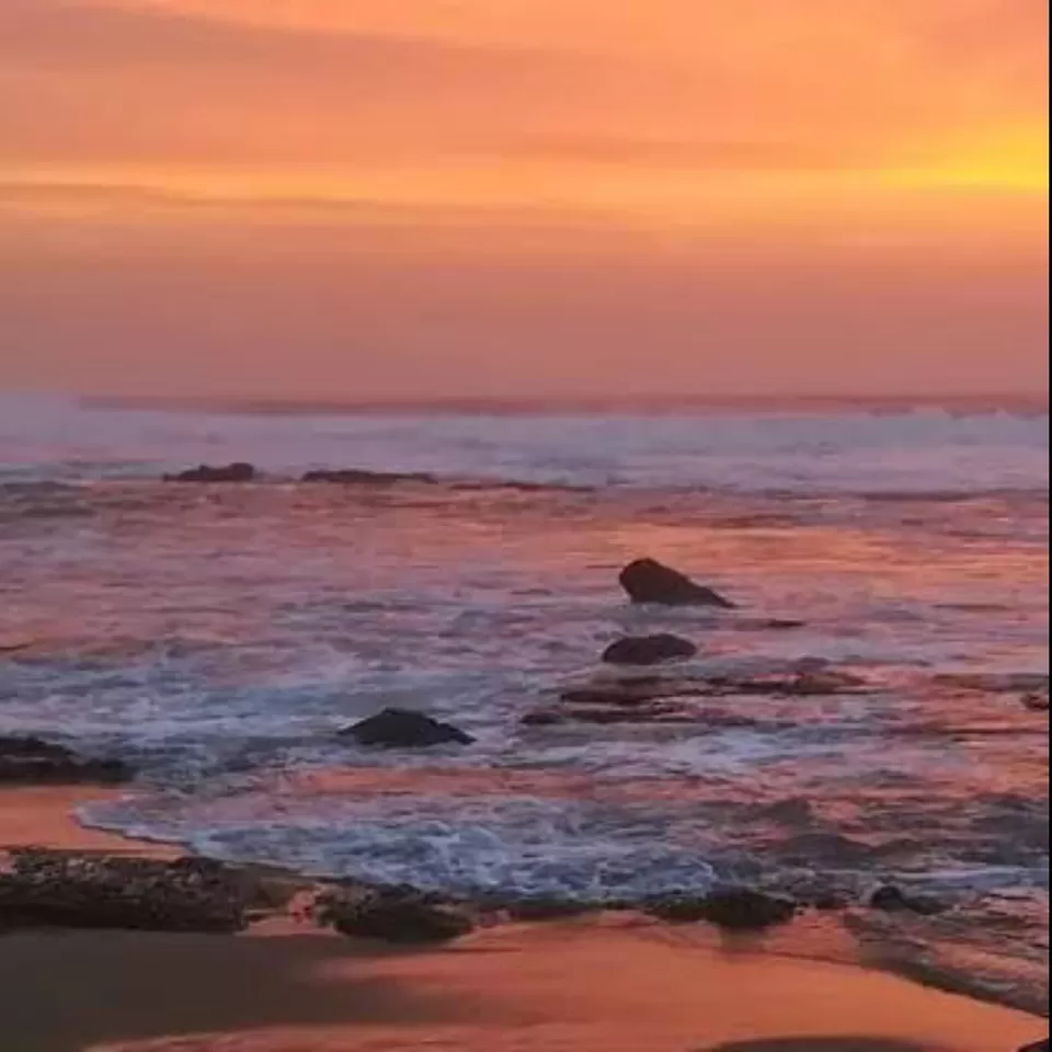 Photo of Aryapalli Marine Beach, Aryapalli by Radhika Narasimhan