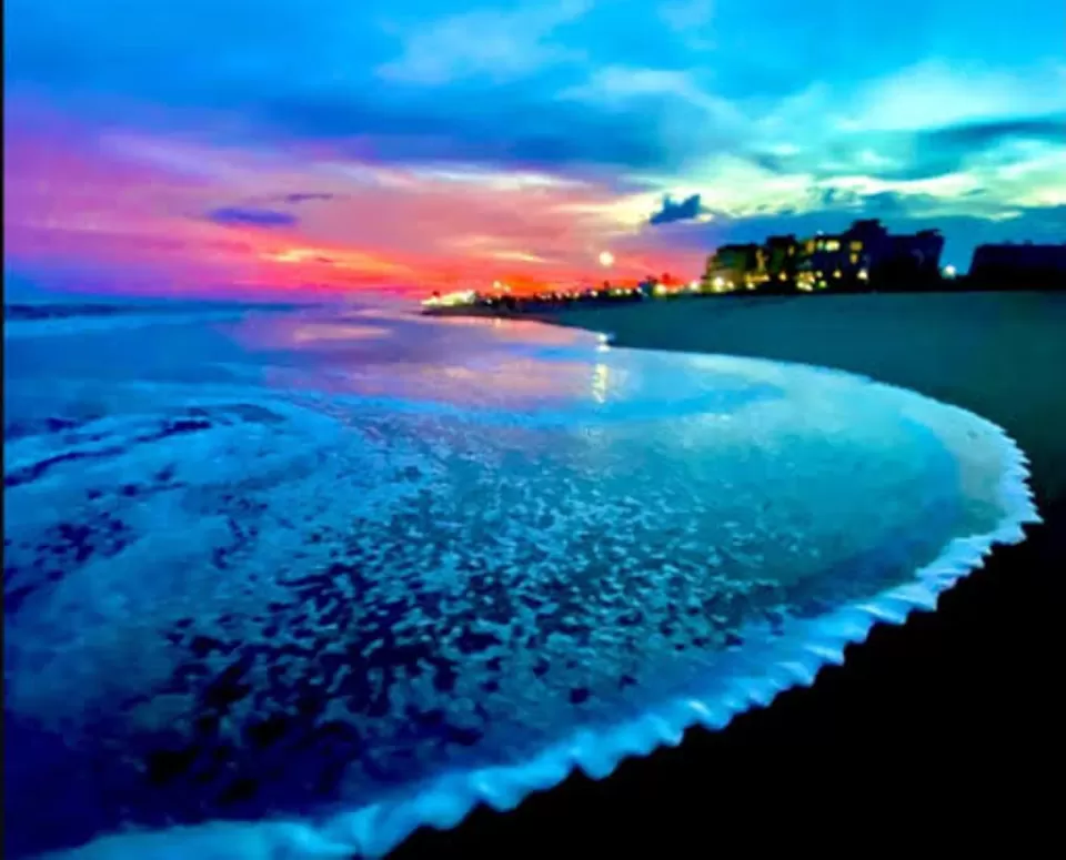 Photo of Puri Beach, Puri by Radhika Narasimhan