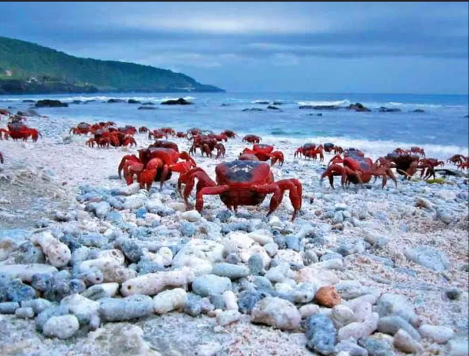 Photo of Talasari Beach, Sahapur by Radhika Narasimhan