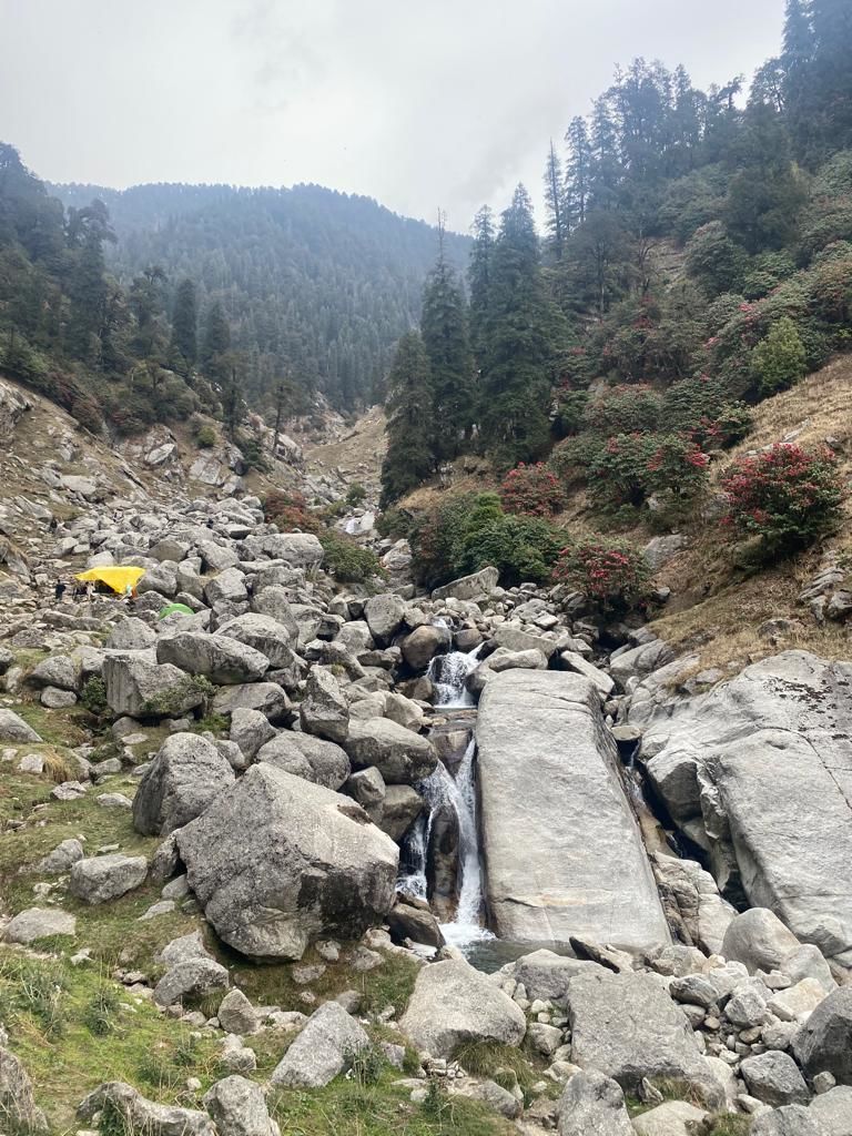 Photo of Travel nah... work & trek from Dharamkot! by Aastha Verma