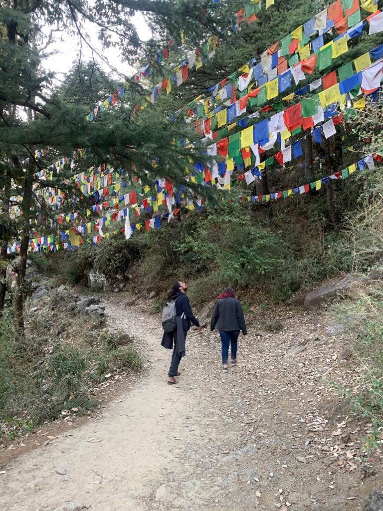 Photo of Travel nah... work & trek from Dharamkot! by Aastha Verma