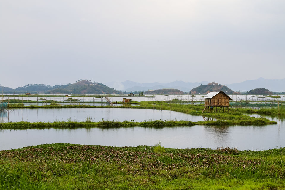 Photo of A day out at the largest freshwater lake southasia- LOKTAK LAKE, Manipur by Divya Shirodkar