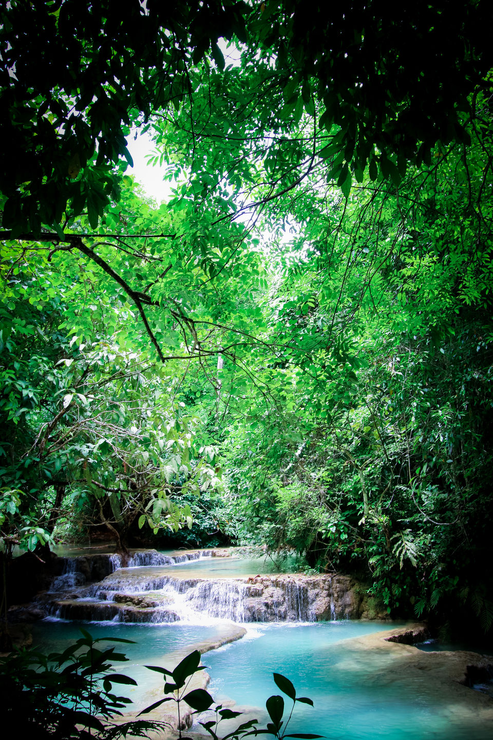 Photo of Laos on Your Bucketlist? Here Are 3 Top Things That You Just Can't Skip in Luang Prabang by Divya Shirodkar