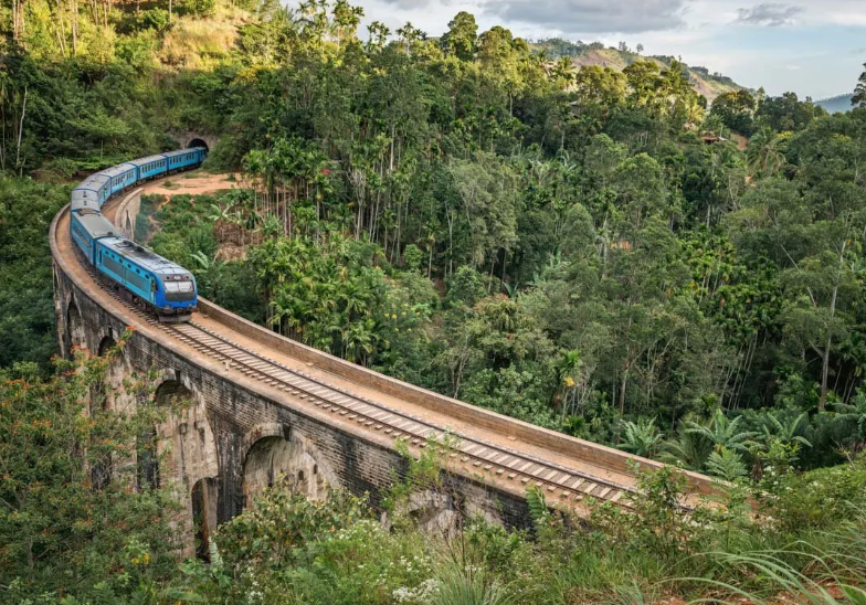 Photo of Embark on an Adventure Through Sri Lanka: From Ella's Natural Wonders to Polonnaruwa's Pristine Lake by Vidhi Bubna