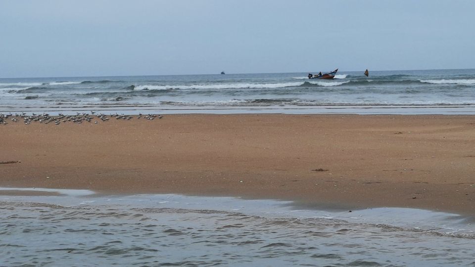 Photo of A Saturday spent at Pulicat by watching Birds and enjoying the pristine lagoon and beach by Kirthivasan
