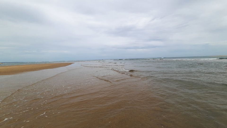 Photo of A Saturday spent at Pulicat by watching Birds and enjoying the pristine lagoon and beach by Kirthivasan