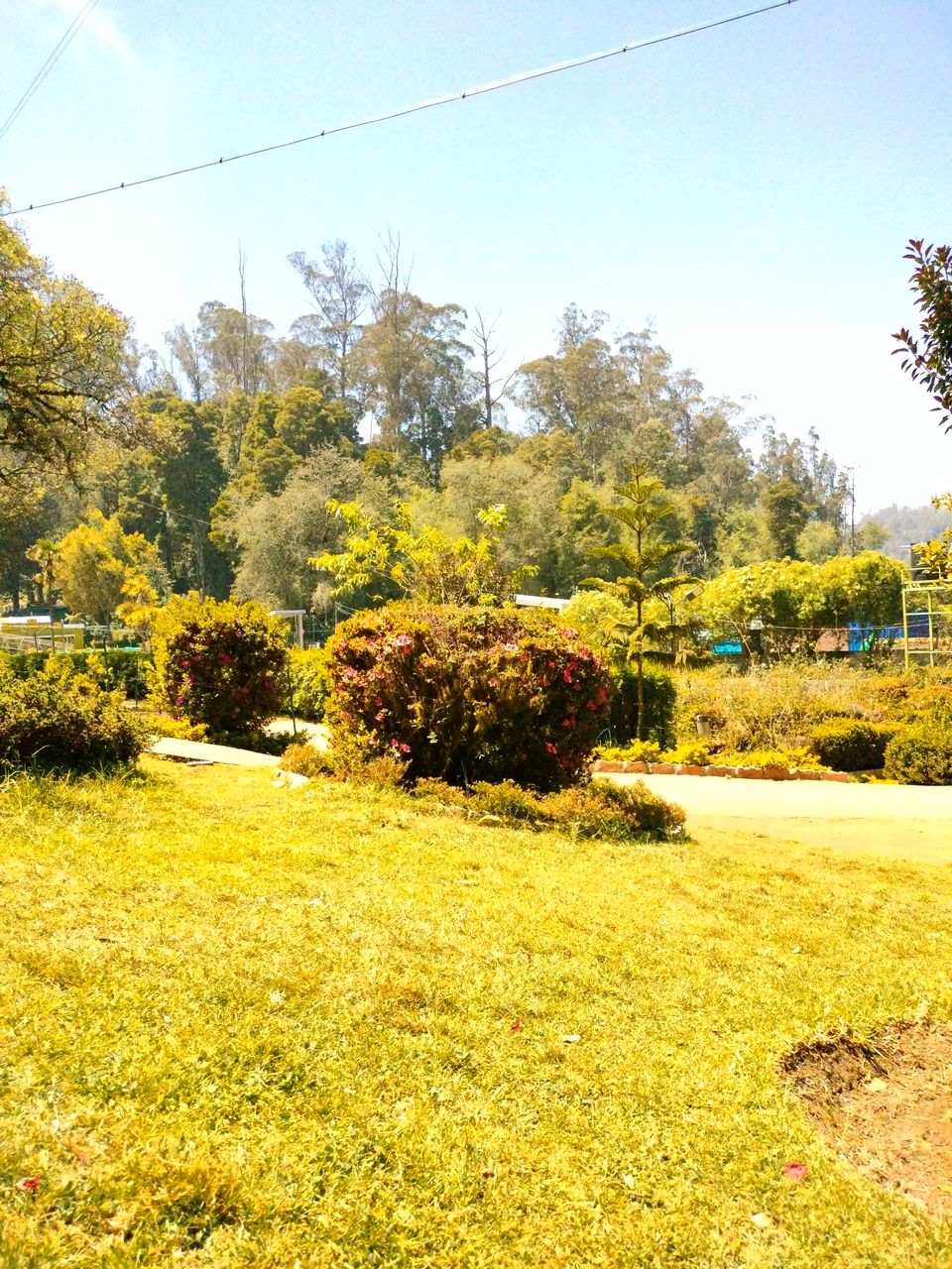 Photo of Our trip to experience the richness of nature at Kodaikkanal Hills from Chennai by Kirthivasan