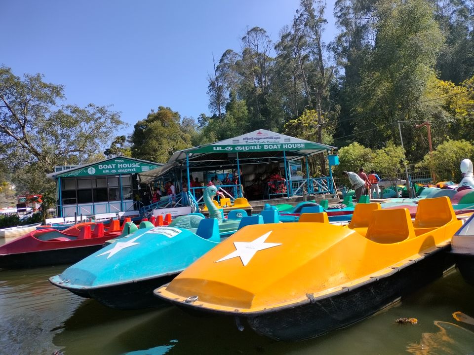 Photo of Our trip to experience the richness of nature at Kodaikkanal Hills from Chennai by Kirthivasan