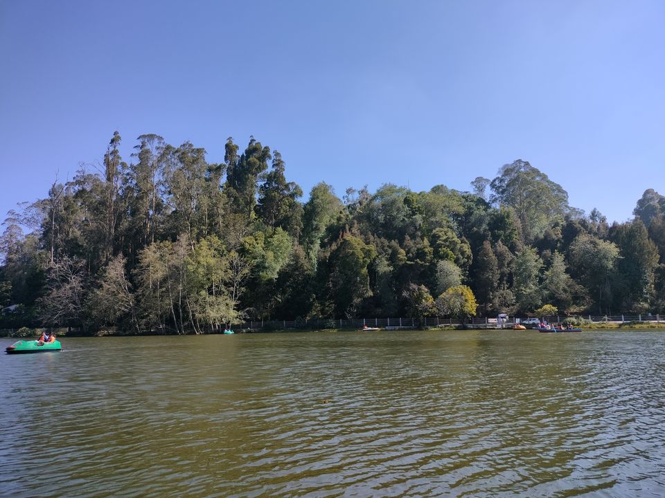 Photo of Our trip to experience the richness of nature at Kodaikkanal Hills from Chennai by Kirthivasan