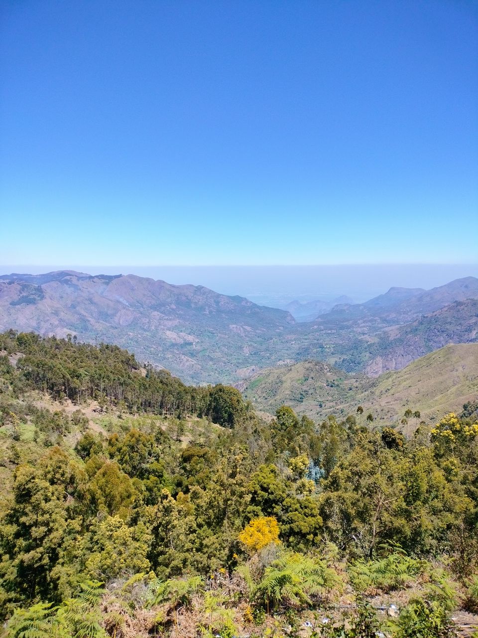 Photo of Our trip to experience the richness of nature at Kodaikkanal Hills from Chennai by Kirthivasan