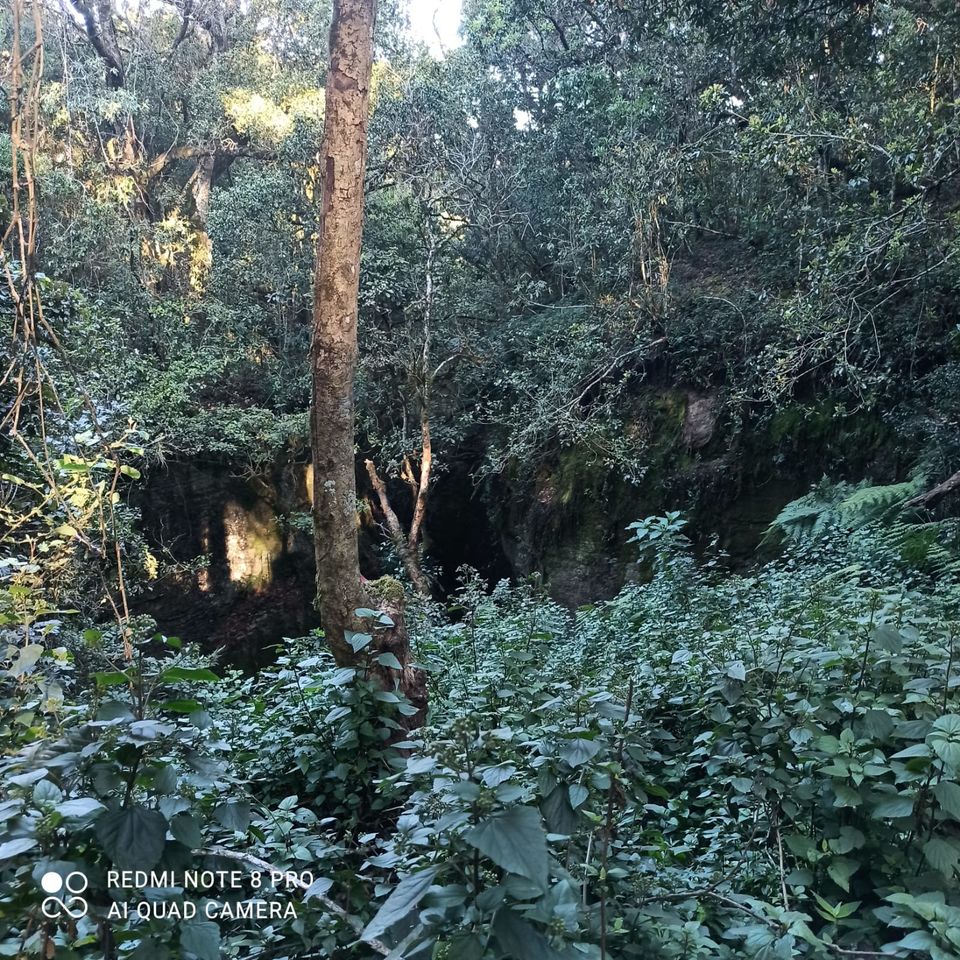 Photo of Our trip to experience the richness of nature at Kodaikkanal Hills from Chennai by Kirthivasan