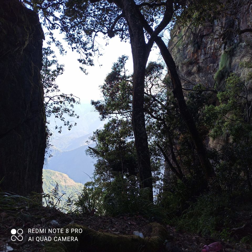 Photo of Our trip to experience the richness of nature at Kodaikkanal Hills from Chennai by Kirthivasan