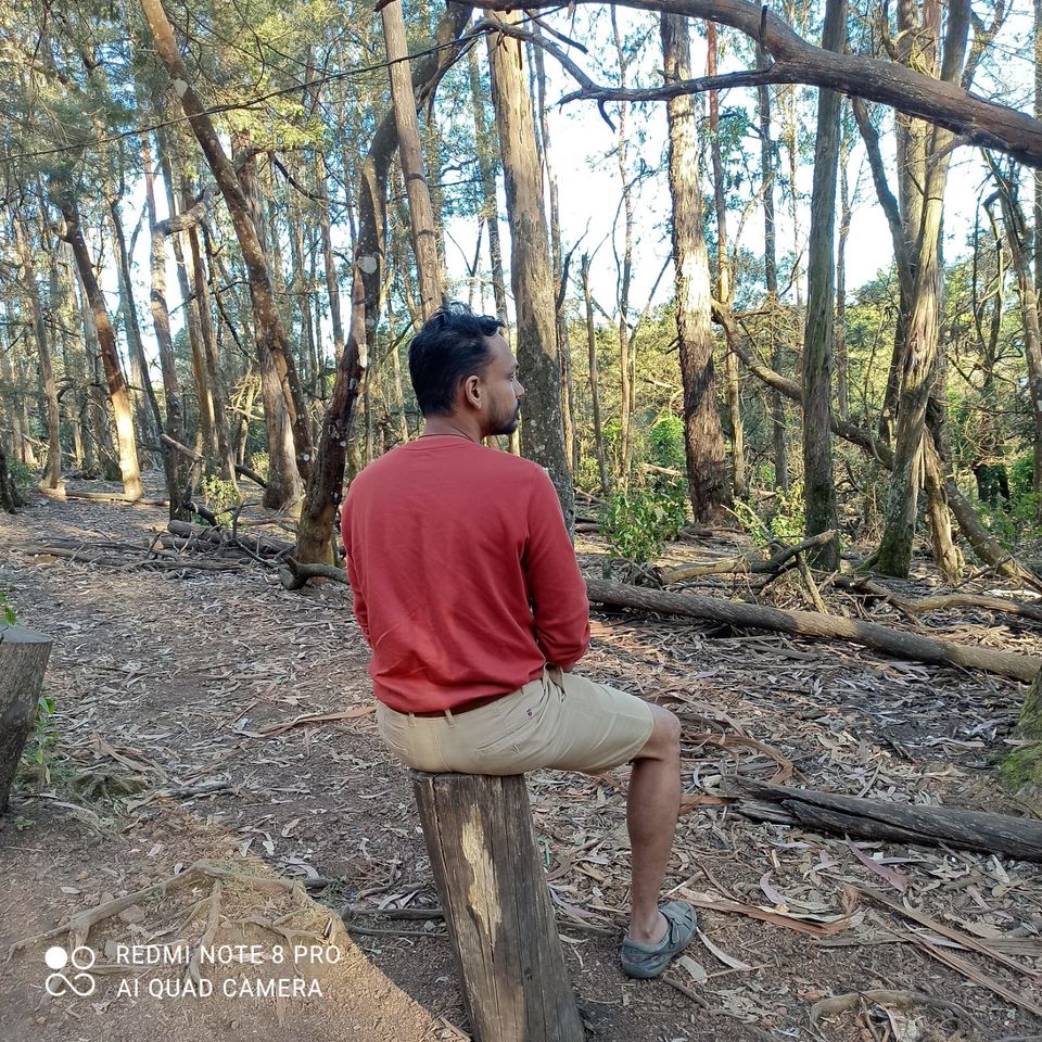 Photo of Our trip to experience the richness of nature at Kodaikkanal Hills from Chennai by Kirthivasan