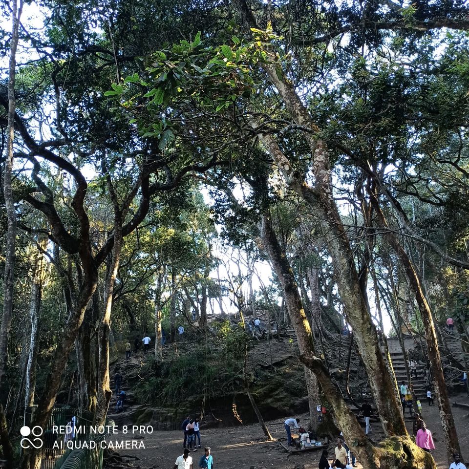 Photo of Our trip to experience the richness of nature at Kodaikkanal Hills from Chennai by Kirthivasan