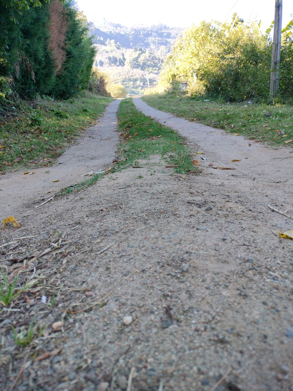 Photo of Our trip to experience the richness of nature at Kodaikkanal Hills from Chennai by Kirthivasan