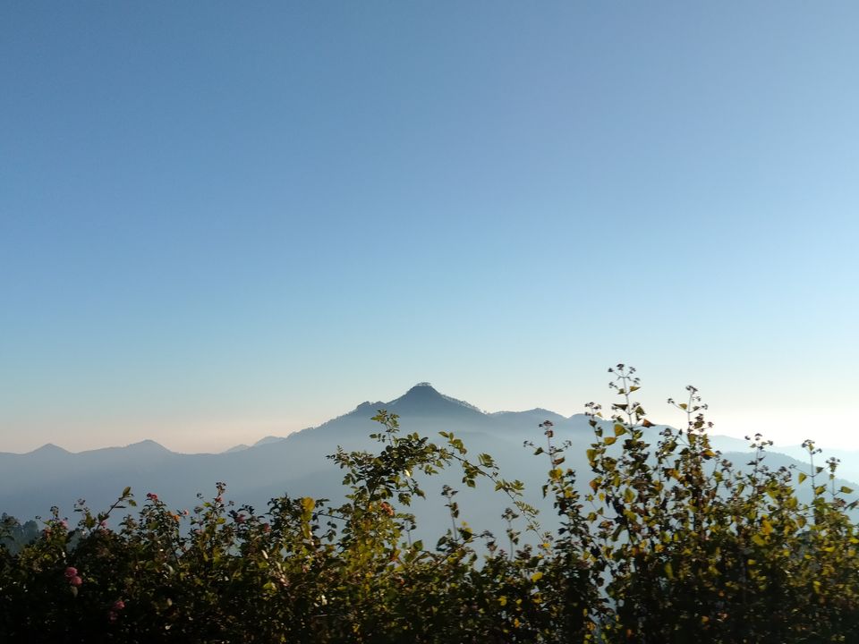 Photo of Our trip to experience the richness of nature at Kodaikkanal Hills from Chennai by Kirthivasan