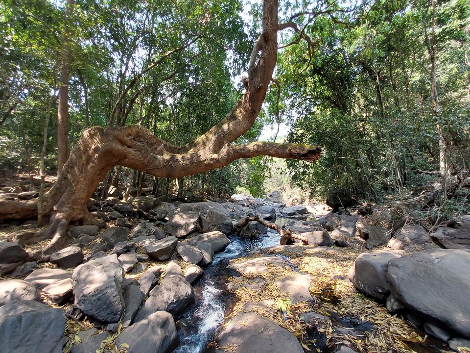 Photo of Dudhgsagar in March by Harshit Karan