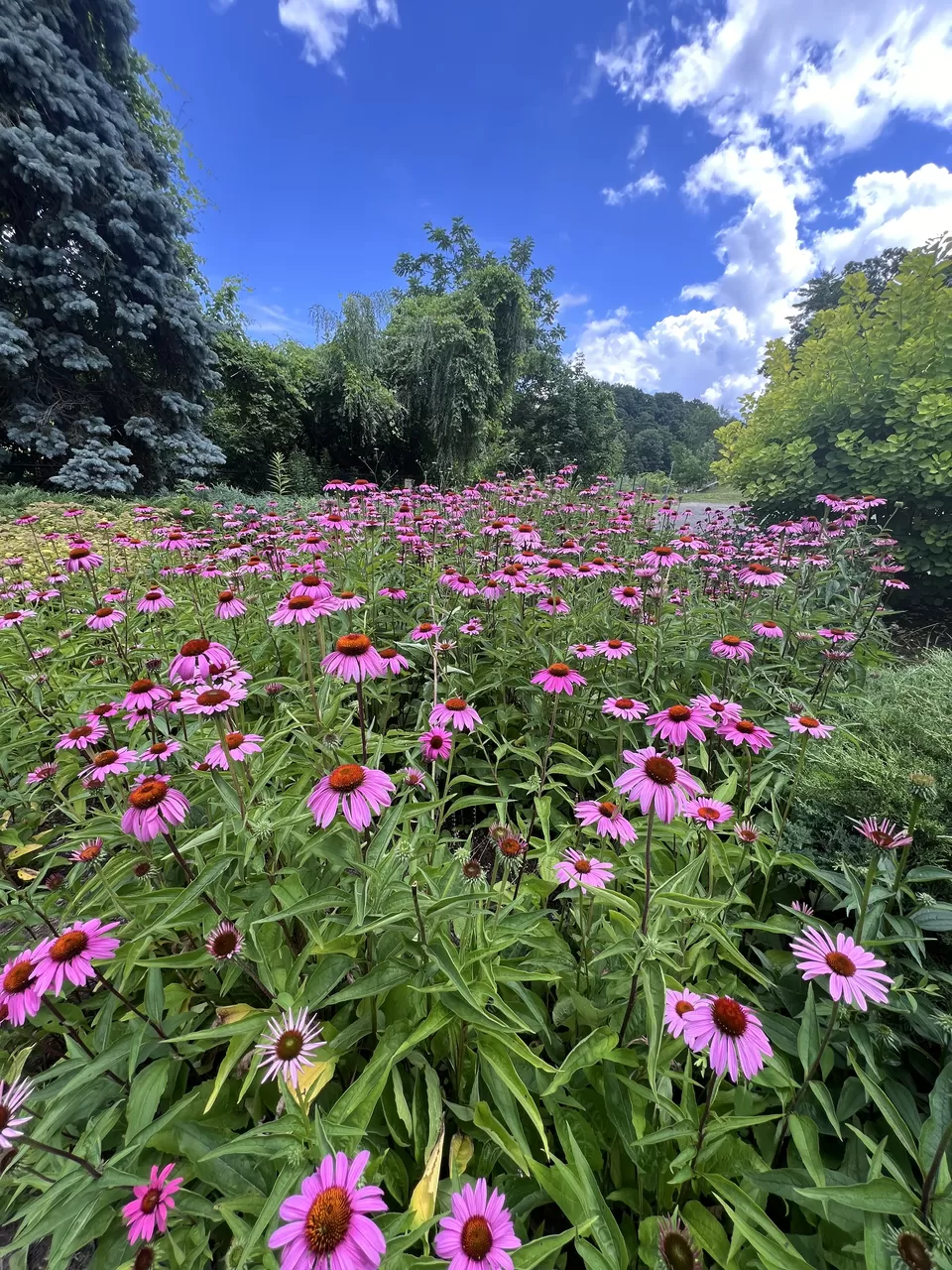 Photo of Best weekend getaway from NYC to Ithaca by kamelia majumdar
