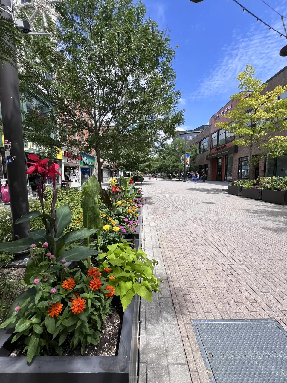 Photo of Best weekend getaway from NYC to Ithaca by kamelia majumdar
