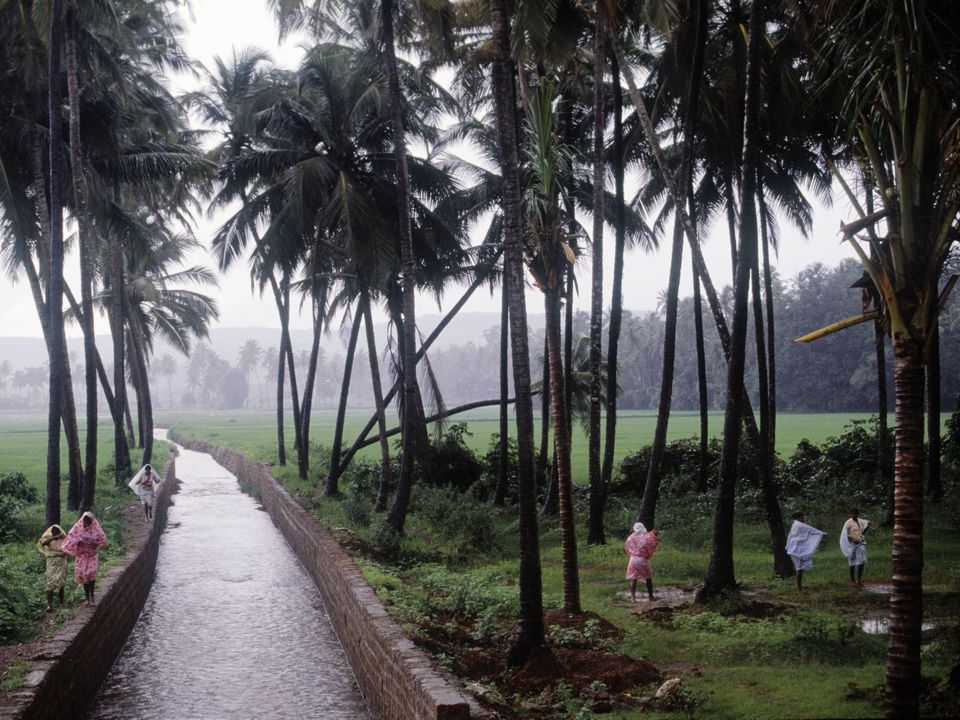 Photo of Places You Shouldn't Visit in India During Monsoon by Nishtha Nath