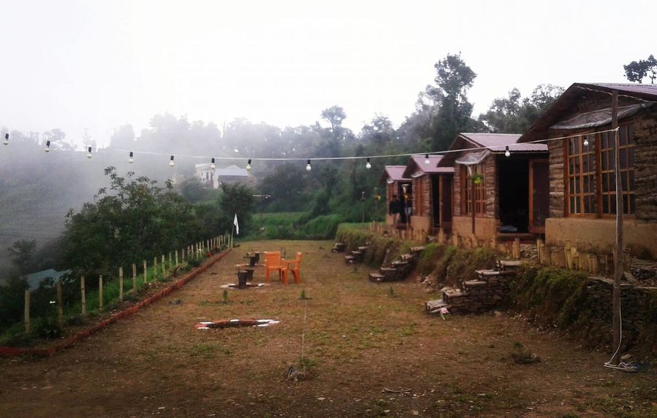 Photo of Once Upon A Forest, Ghuggu Kham by Prageet Goel 