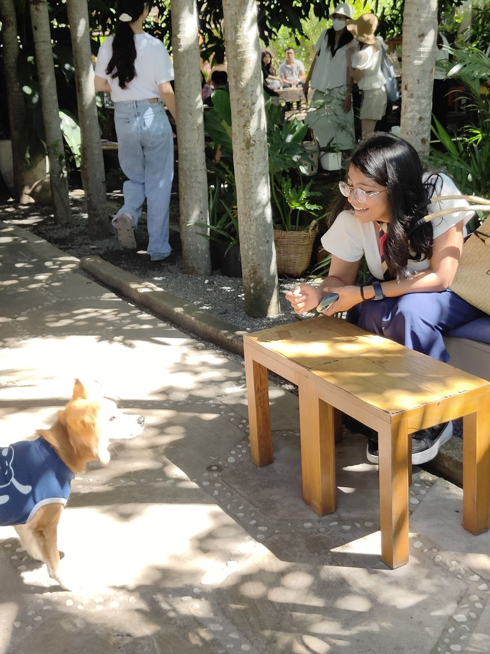 Photo of Here Is The Only Travel Guide To Vietnam You'll Need by Prageet Goel