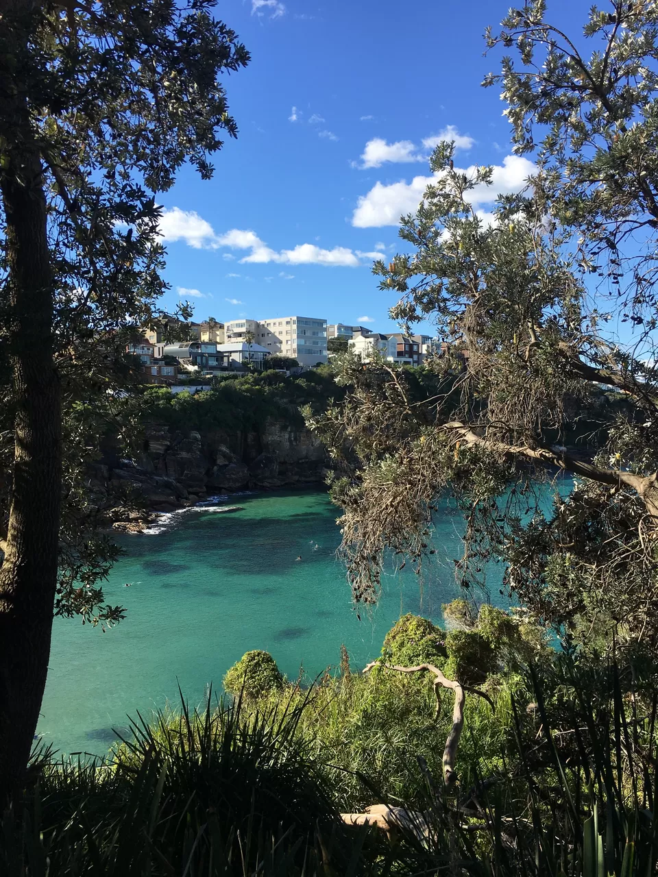 Photo of Dreaming of a Beach Holiday? These Experiences in Sydney Will Make You Book a Flight to Australia by Neeti Chopra
