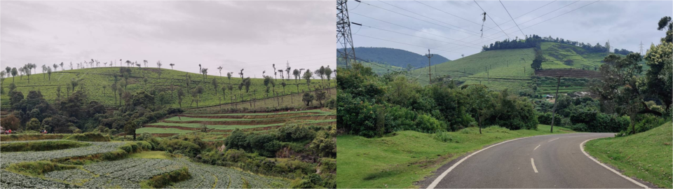 Photo of Ooty - The Queens Of Hills by The Travel Blueprint