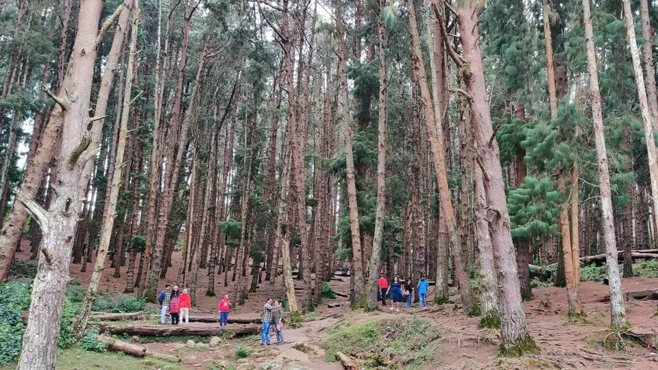 Photo of Ooty - The Queens Of Hills by The Travel Blueprint