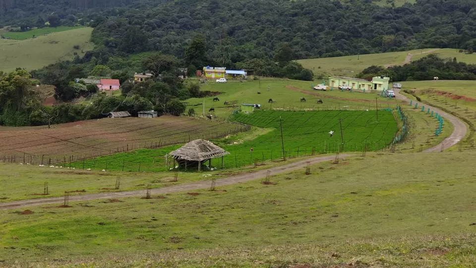 Photo of Ooty - The Queens Of Hills by The Travel Blueprint