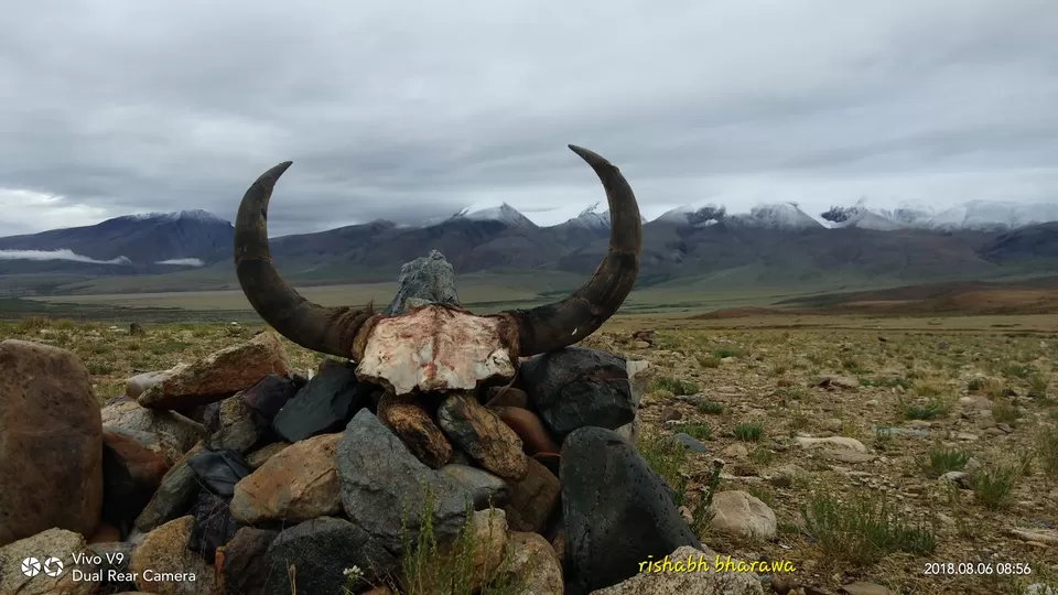 Photo of कैलाश मानसरोवर का एक शानदार अनुभव by Rishabh Bharawa