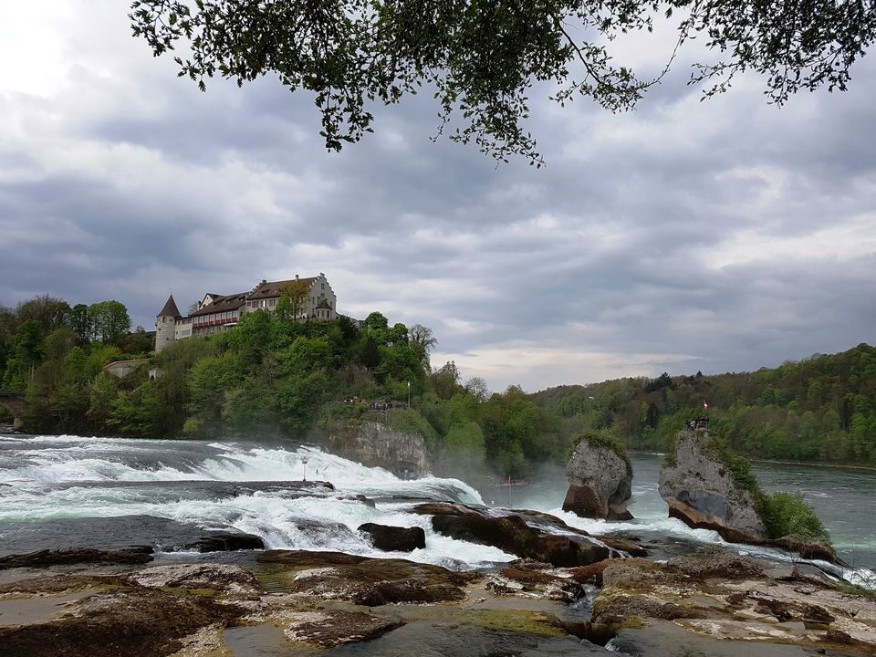 Photo of Laufen Castle at the Rheinfalls, Dachsen by Annet P S