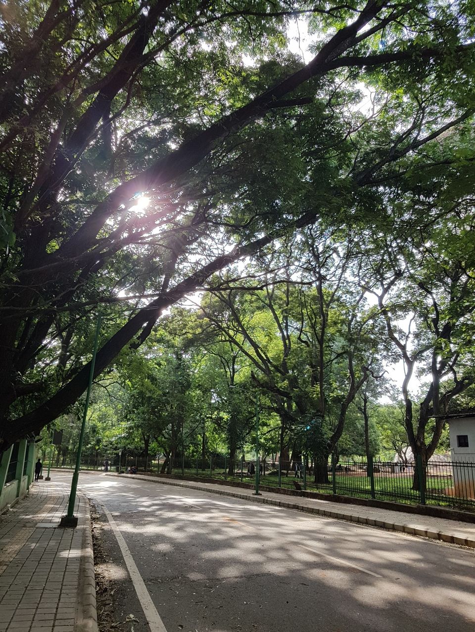Green ‘lung’ at the heart of the city bengaluru - Tripoto