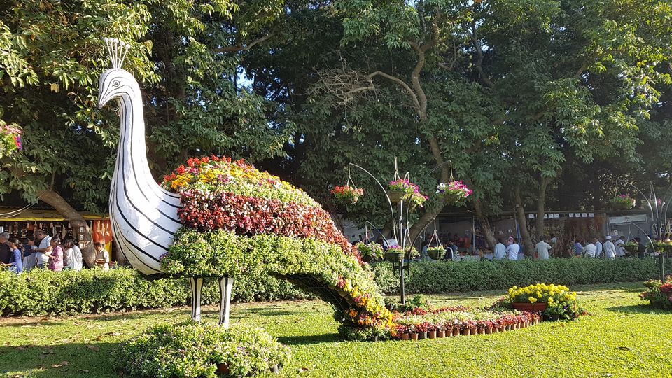 Photo of This Independence week, visit the much-awaited flower show in Bengaluru and get mesmerized by Annet P S