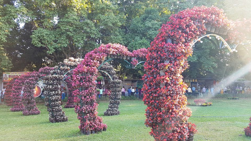 Photo of This Independence week, visit the much-awaited flower show in Bengaluru and get mesmerized by Annet P S